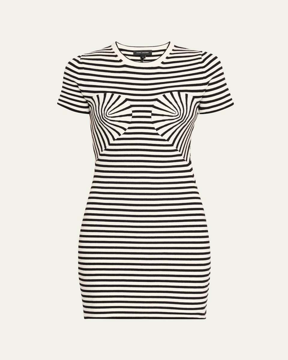 Stripe Seamed Up Knit Mini Dress